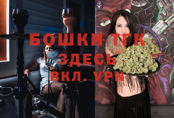 индика Покровск