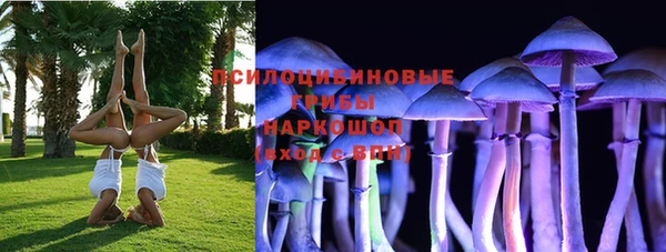 прущие грибы Арсеньев
