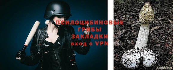 a pvp Алексин
