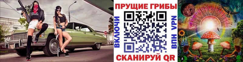 где найти Петрозаводск Галлюциногенные грибы прущие грибы